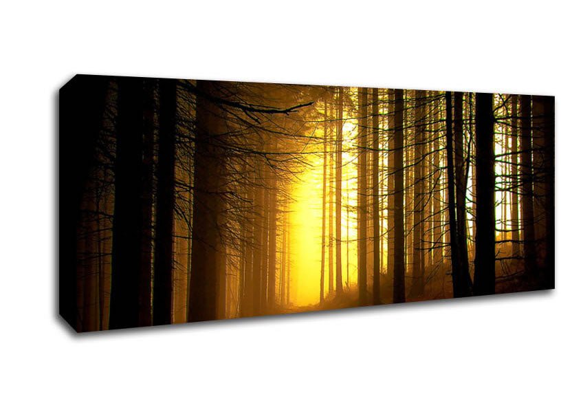 Golden Forest Light Canvas Wall Art - Zestio