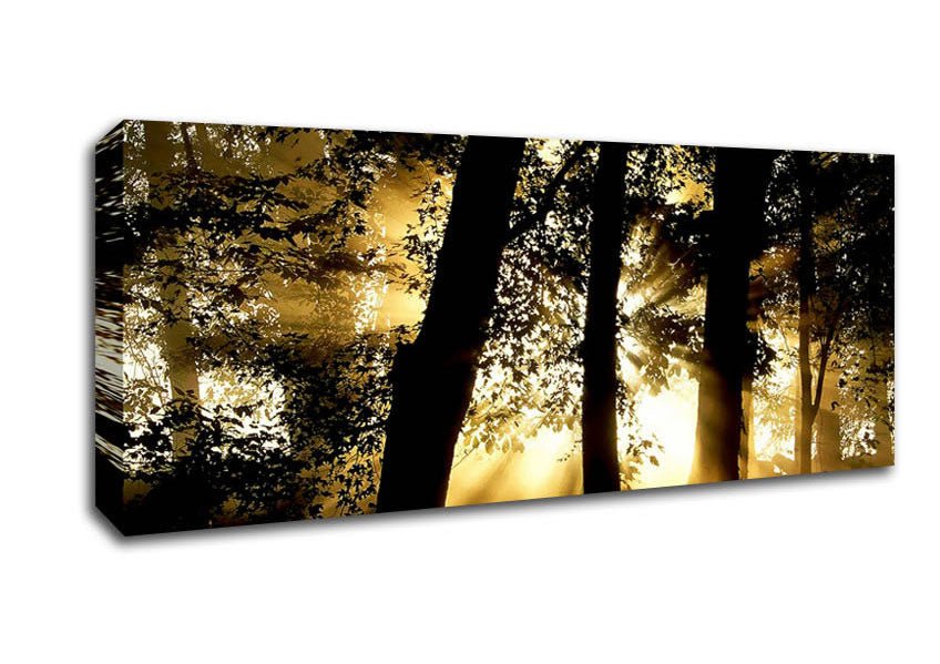 Golden Sun Beam Forest Canvas Wall Art - Zestio