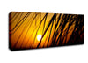 Golden Sun Through The Reeds Canvas Wall Art - Zestio
