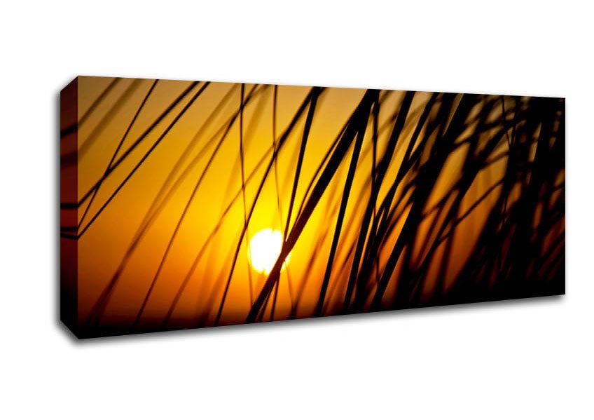 Golden Sun Through The Reeds Canvas Wall Art - Zestio