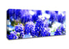 Grape Hyacinths Canvas Wall Art - Zestio