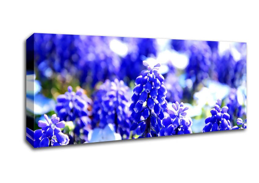Grape Hyacinths Canvas Wall Art - Zestio