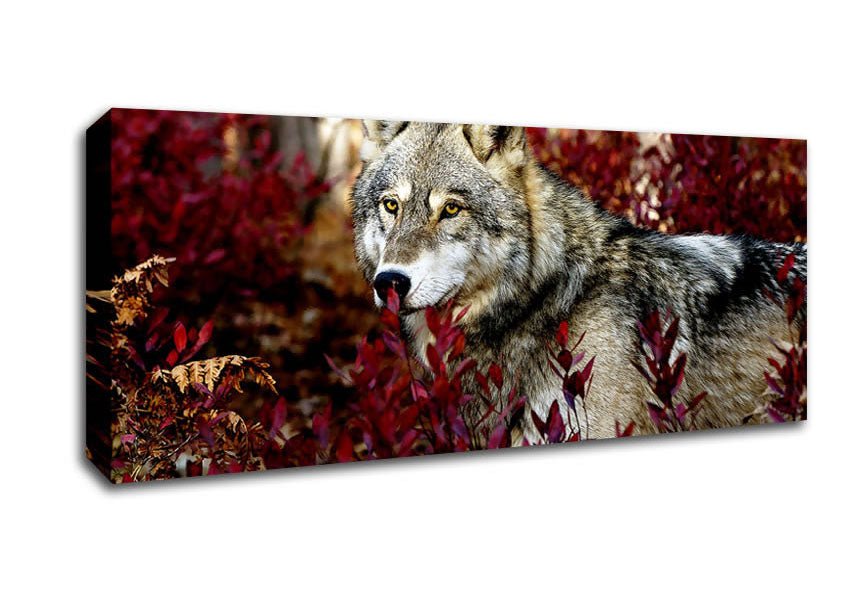 Gray Wolf Canvas Wall Art - Zestio