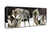 Gray Wolves Norway Canvas Wall Art - Zestio