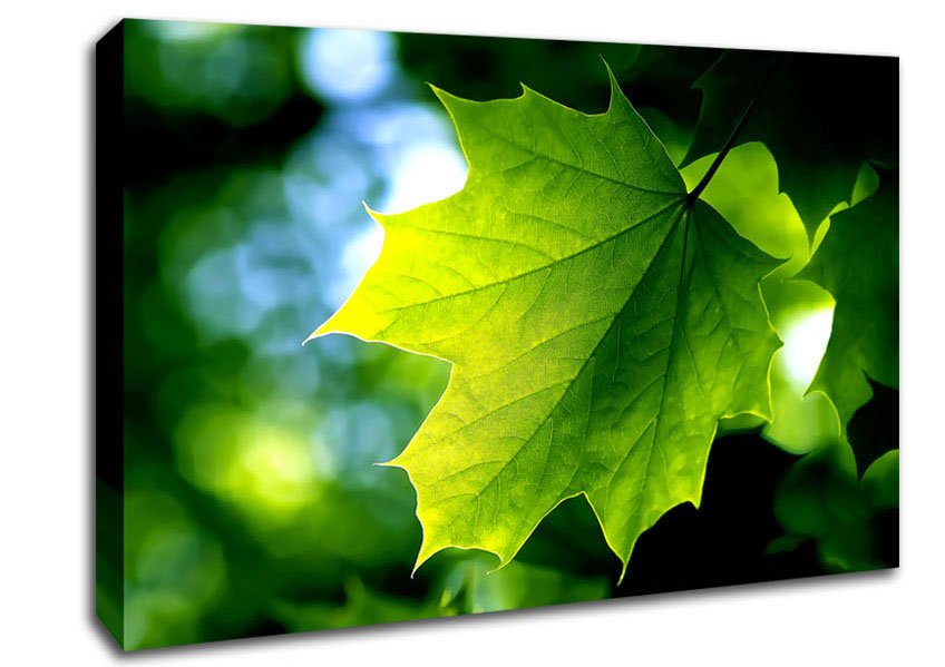 Green Leaf Canvas Wall Art - Zestio