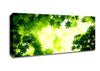 Green Maple Leaves Canvas Wall Art - Zestio