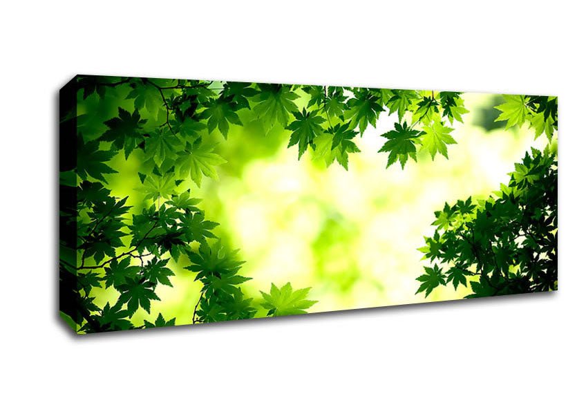 Green Maple Leaves Canvas Wall Art - Zestio