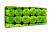 Green Parade Canvas Wall Art - Zestio
