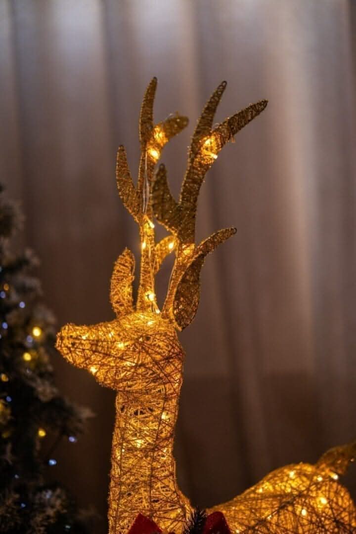 Large Light Up Reindeer