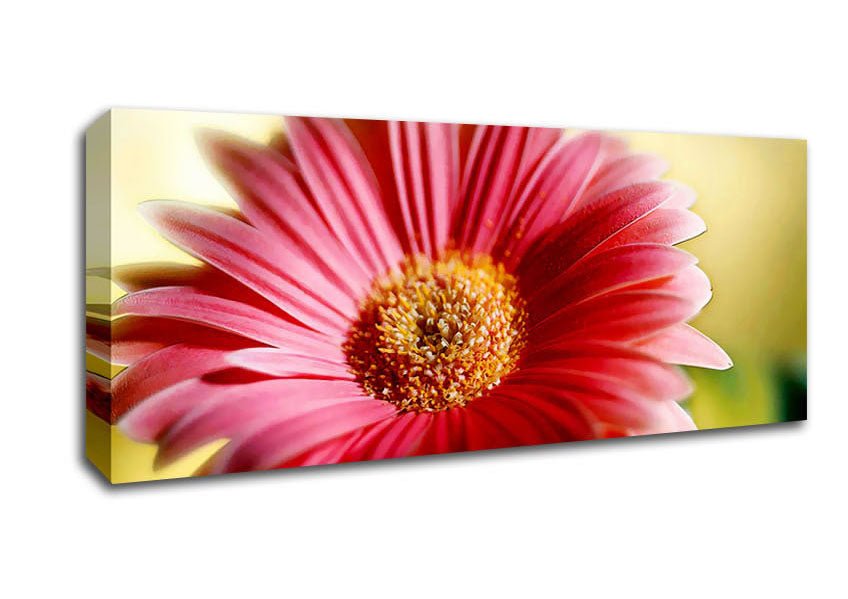 Heavenly Pink Petals Canvas Wall Art - Zestio