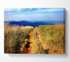 Hiking Path Canvas Wall Art - Zestio