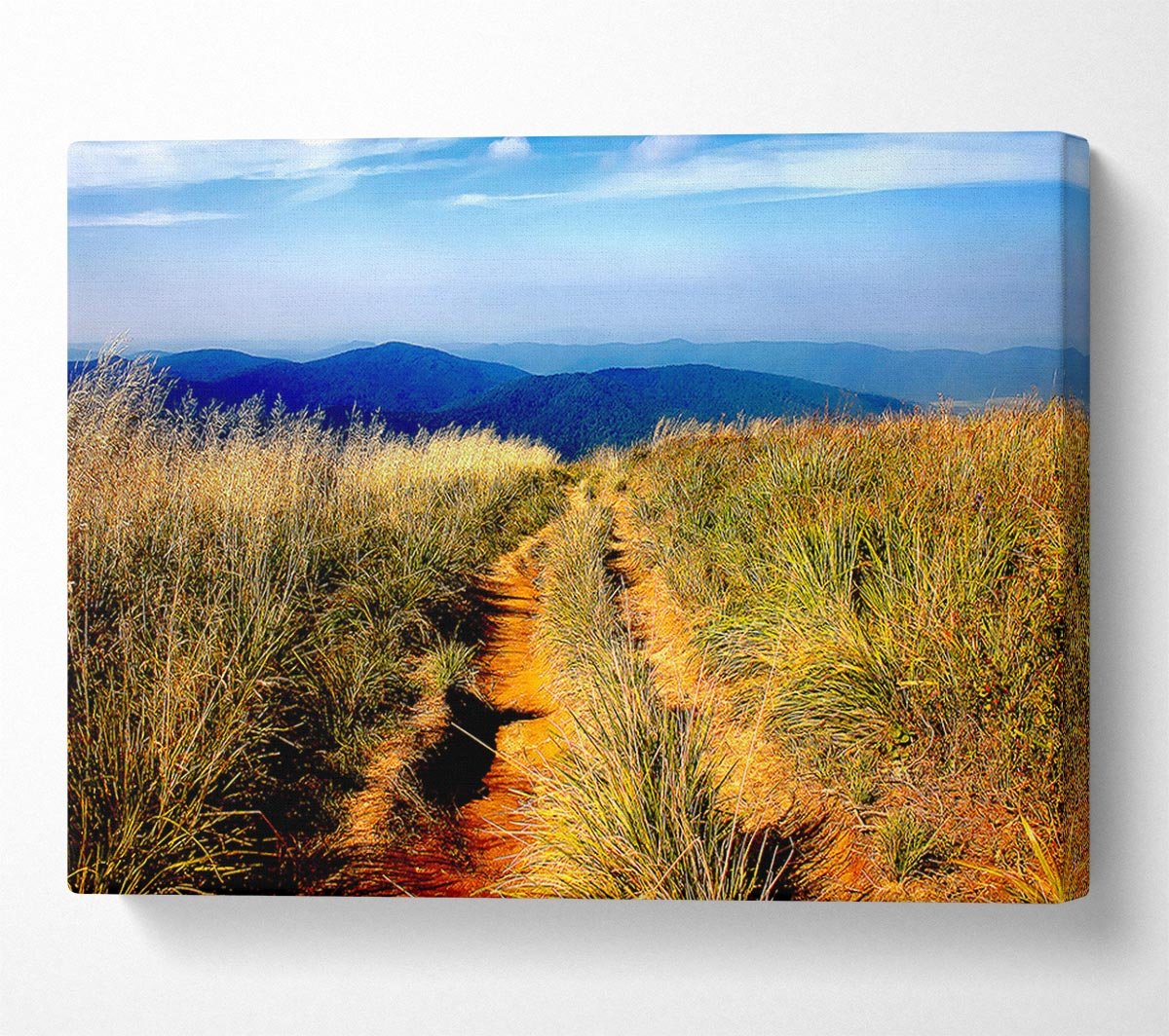 Hiking Path Canvas Wall Art - Zestio