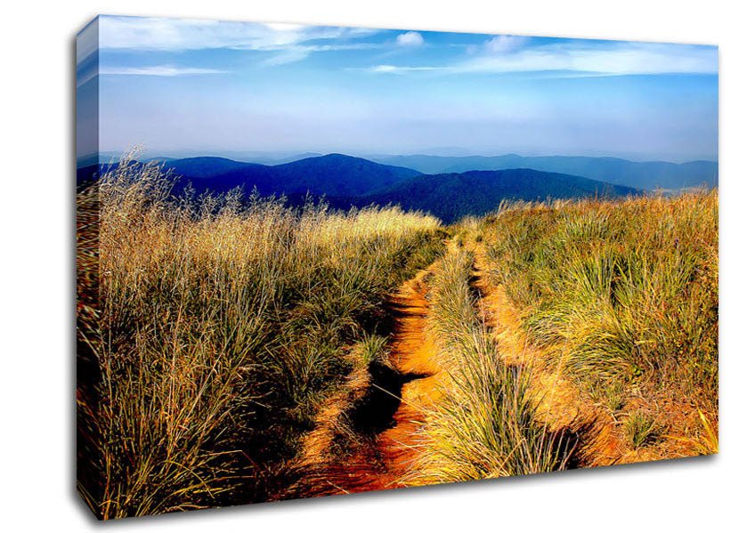 Hiking Path Canvas Wall Art - Zestio