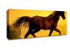 Horse In Golden Sunlight Canvas Wall Art - Zestio
