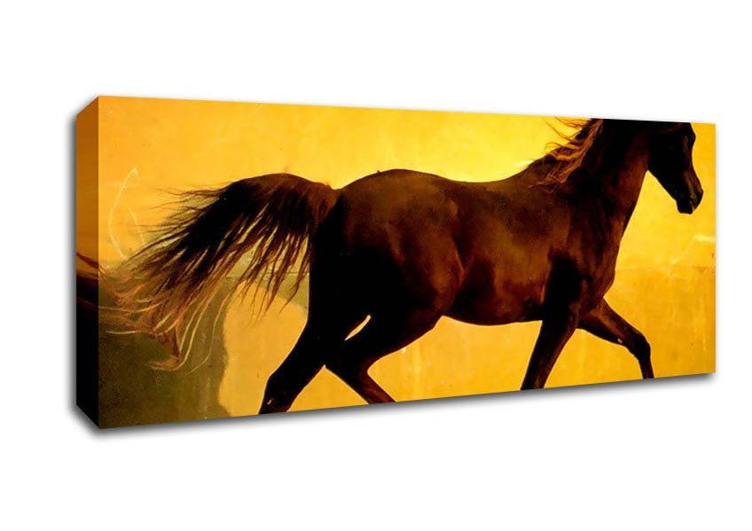 Horse In Golden Sunlight Canvas Wall Art - Zestio