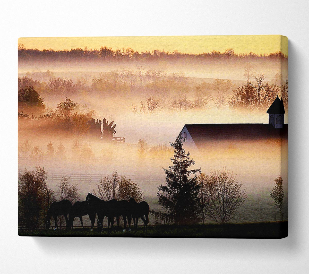 Horses In The Morning Mist Canvas Wall Art - Zestio