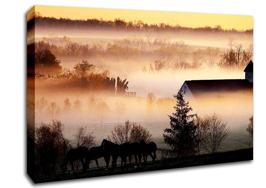 Horses In The Morning Mist Canvas Wall Art - Zestio