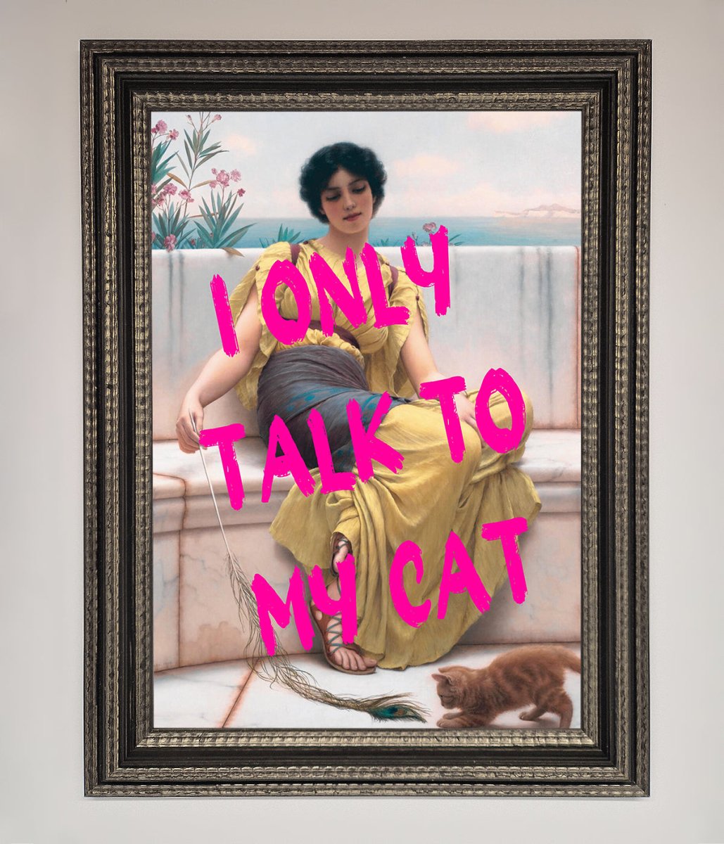 I Only Talk To My Cat Framed Wall Art - Zestio