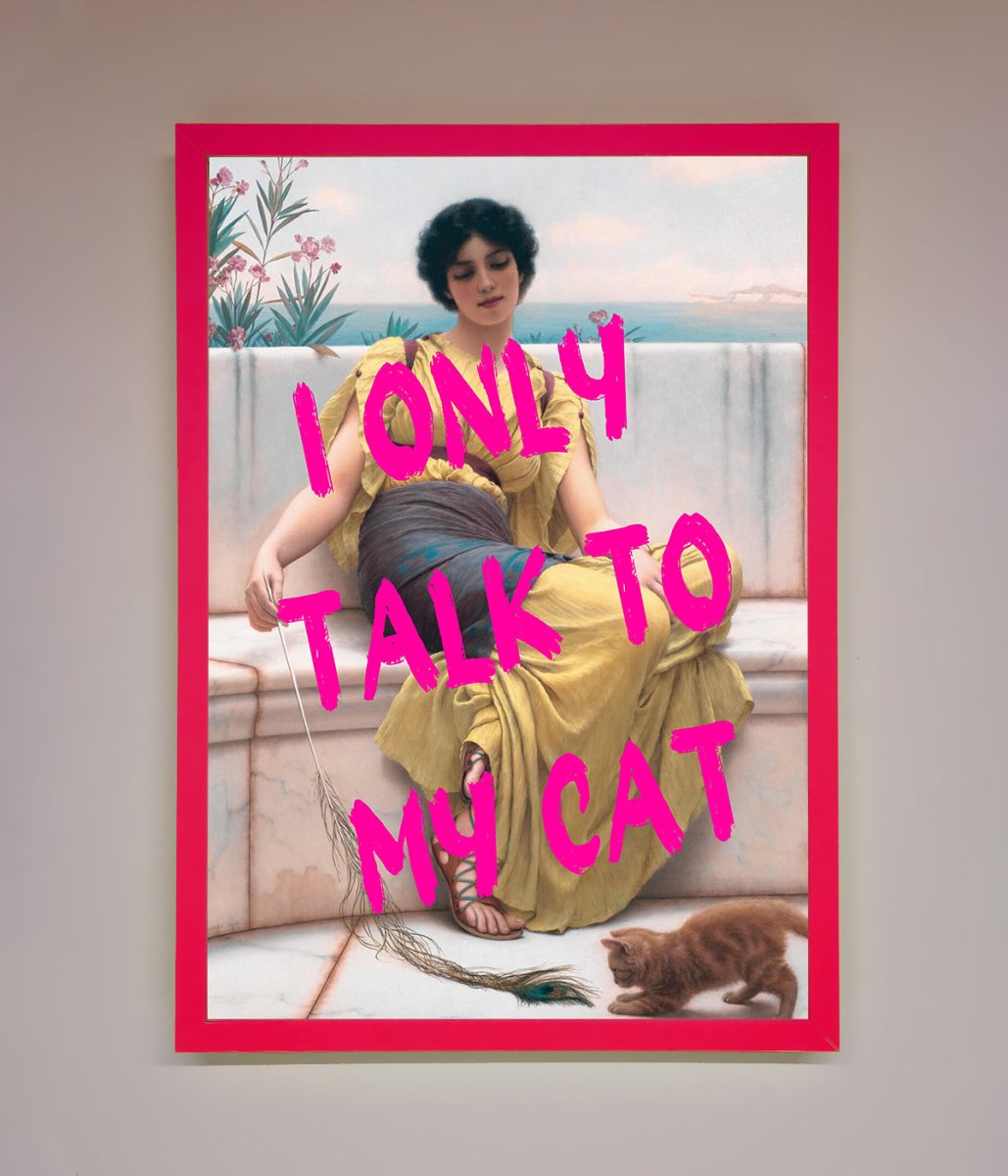 I Only Talk To My Cat Framed Wall Art - Zestio