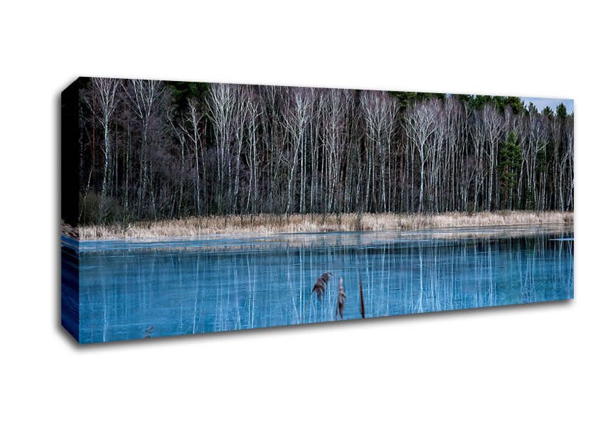 Ice Lake Canvas Wall Art - Zestio