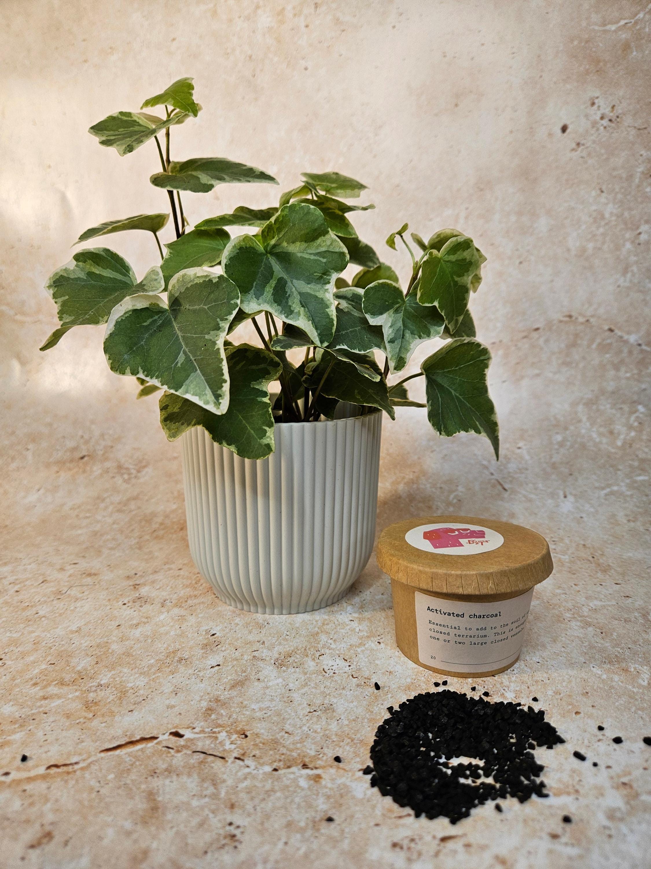 Activated Charcoal