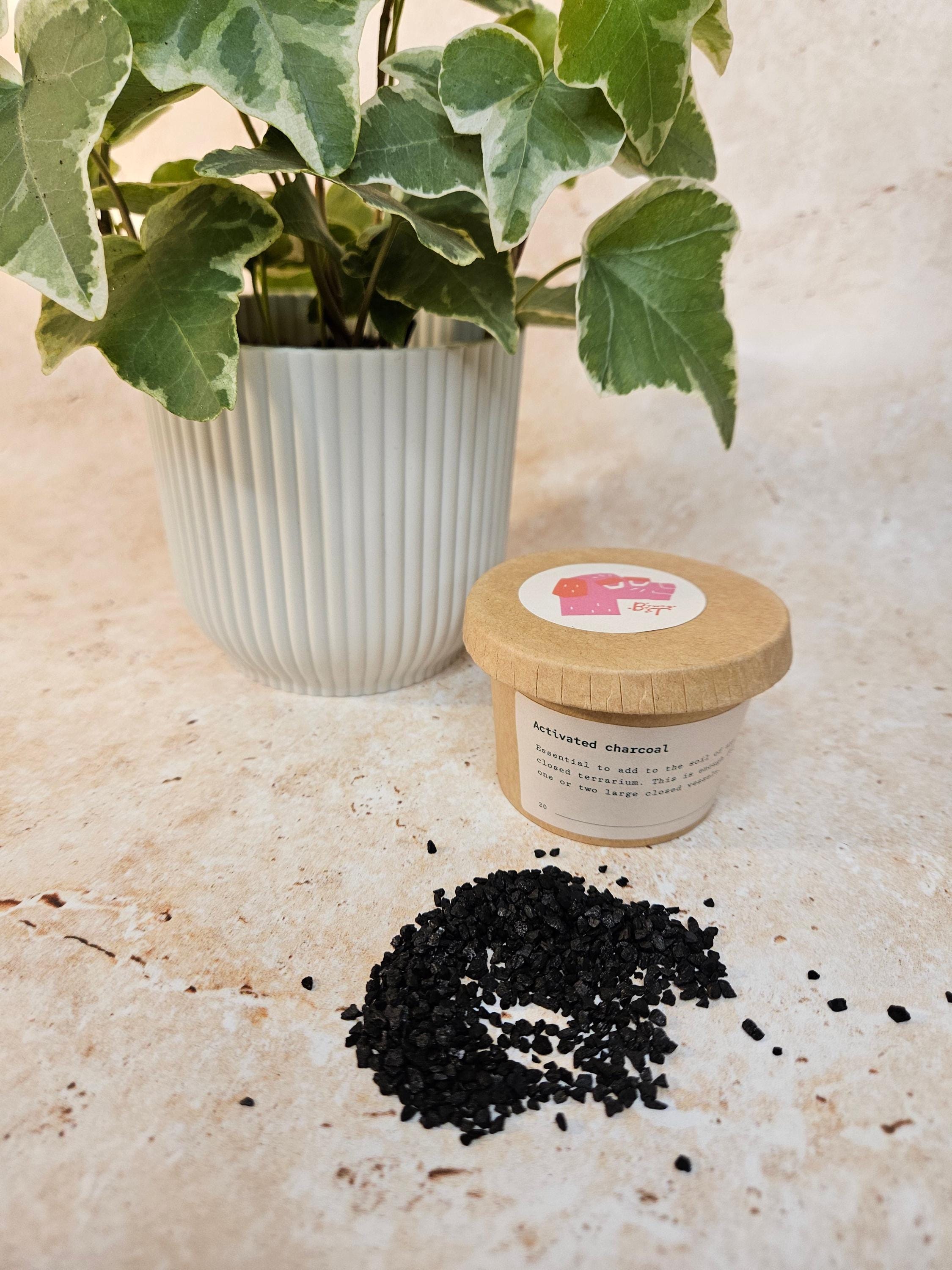Activated Charcoal
