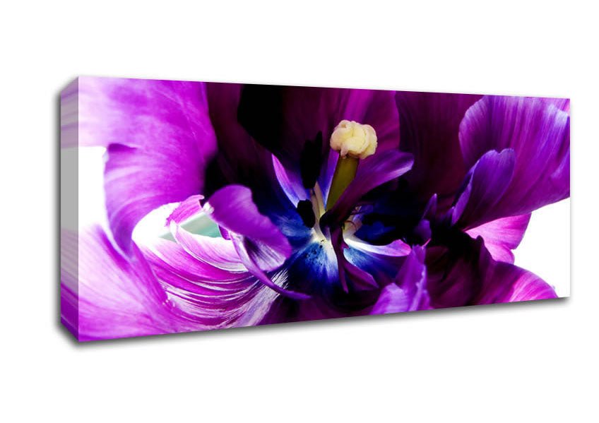In The Purple Centre Of Beauty Canvas Wall Art - Zestio