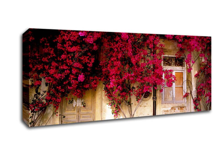 Italian Farmhouse Beauty Canvas Wall Art - Zestio