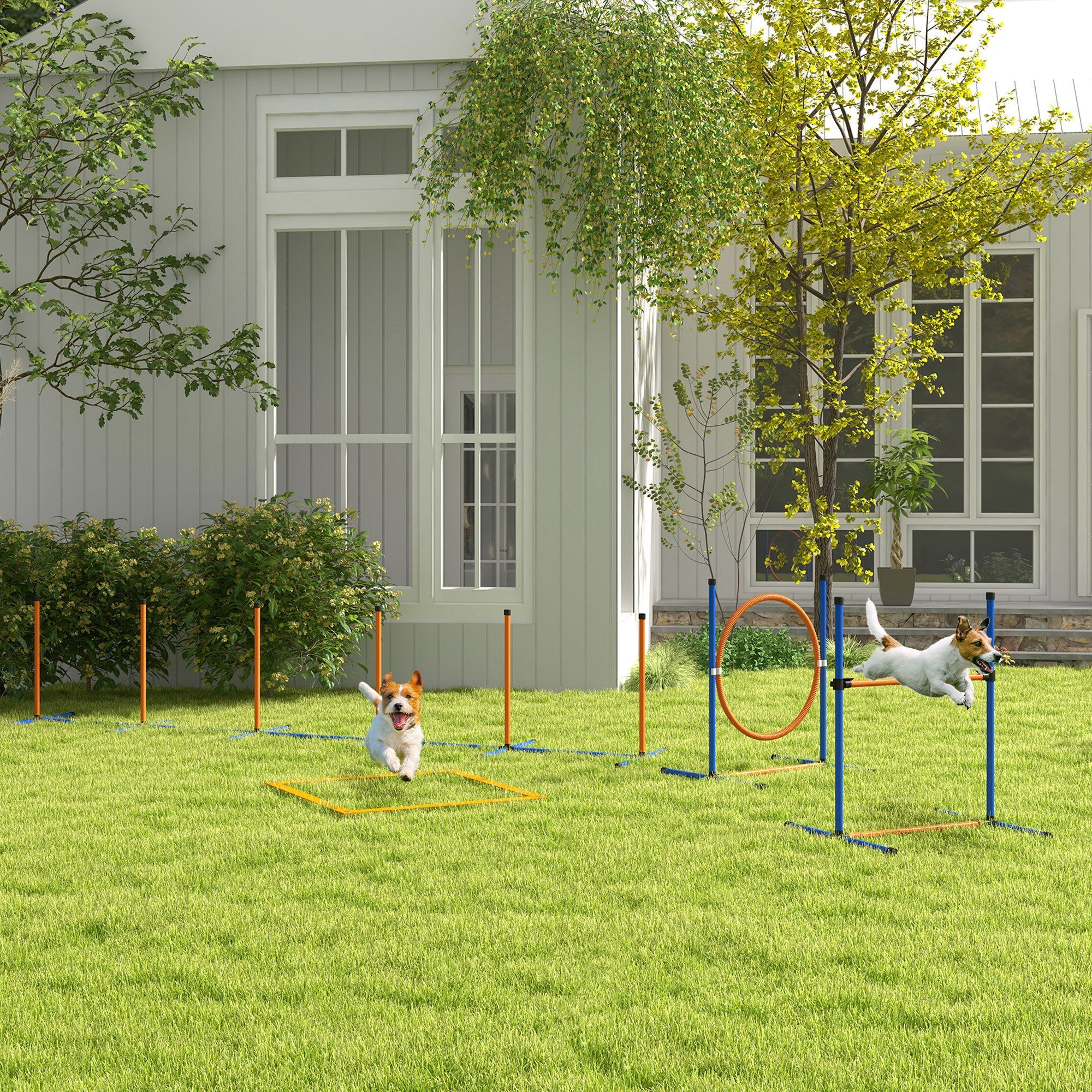 PawHut 4 Pcs Dog Agility Training Equipment, Dog Outdoor Games w/ Carry Bag