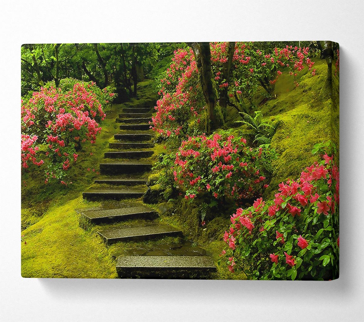 Japanese Garden Washington Park Canvas Wall Art - Zestio