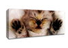 Kitten Love Canvas Wall Art - Zestio