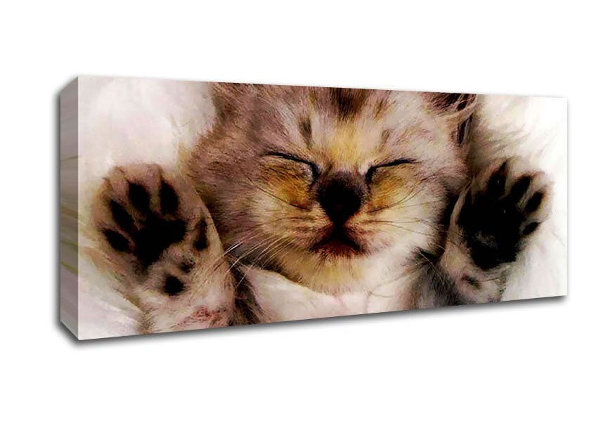 Kitten Love Canvas Wall Art - Zestio