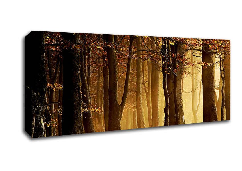 Land Of Trees Canvas Wall Art - Zestio