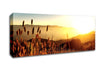 Late Summer Field Canvas Wall Art - Zestio