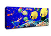 Life Below The Red Sea Egypt Canvas Wall Art - Zestio