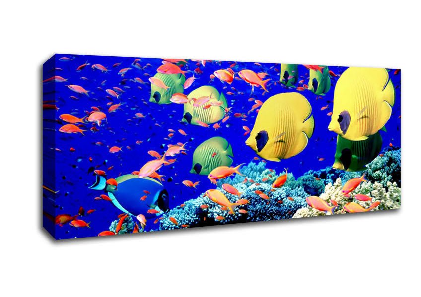 Life Below The Red Sea Egypt Canvas Wall Art - Zestio