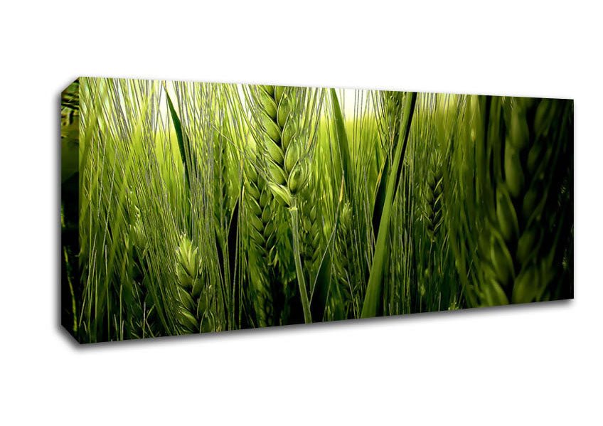Life Below The Reeds Canvas Wall Art - Zestio