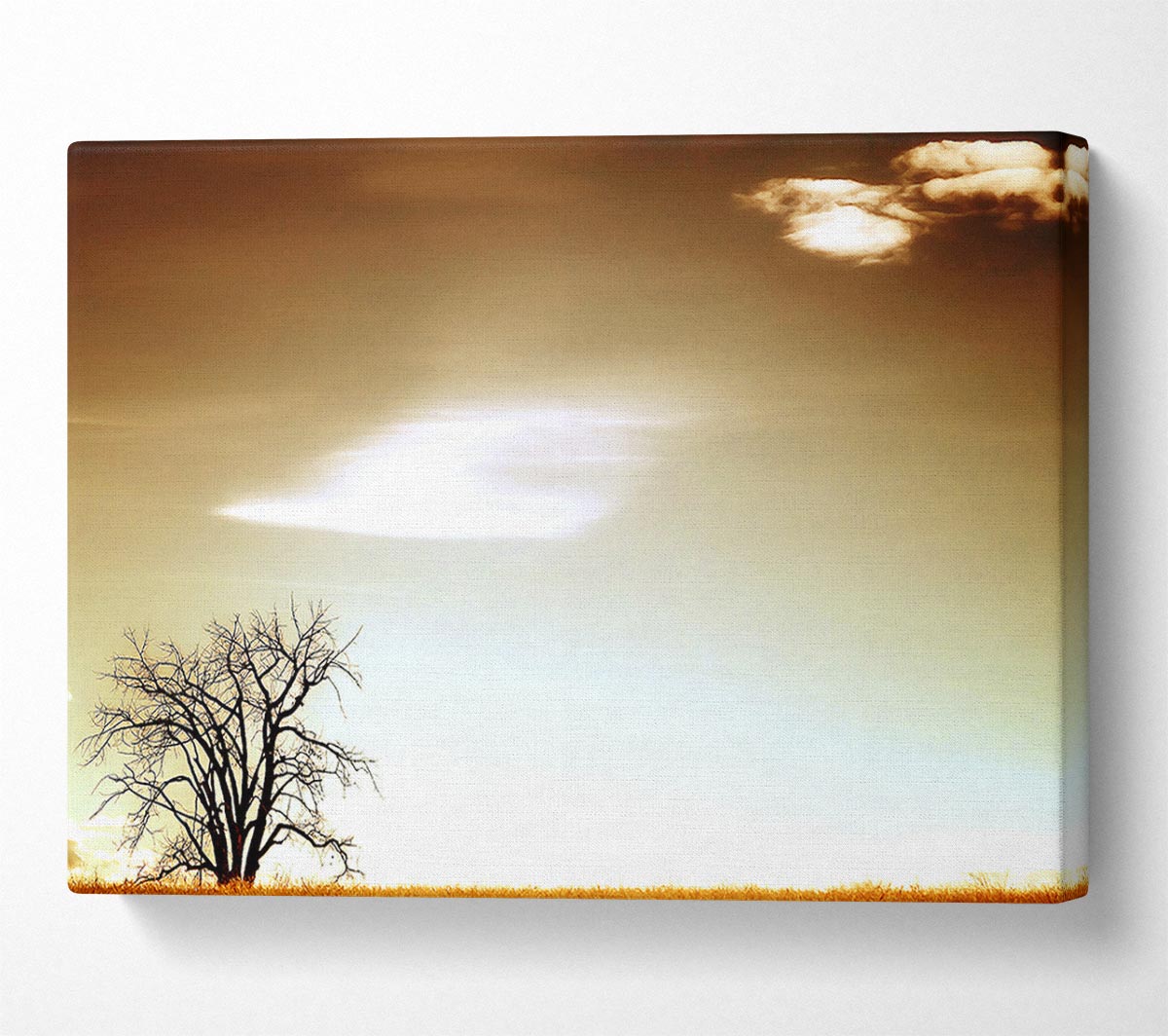 Lone Tree Canvas Wall Art - Zestio