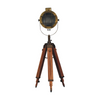 Artisan Furniture Home Decor Accessories - Caged Brass Spotlight Floor Lamp