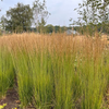 Dog Beds for Large Dogs, Orthopedic Dog Bed for Medium Large Dogs Waterproof Lining, and Non-Slip Bottom, Machine Washable