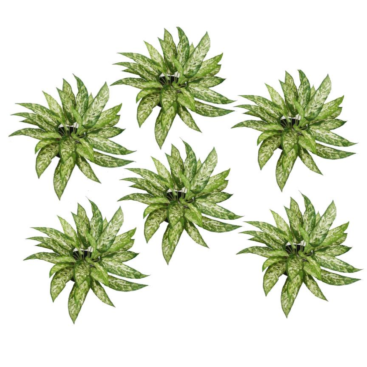 Pack of 6 x 45cm Fire Retardant Artificial Aglaonema Bush
