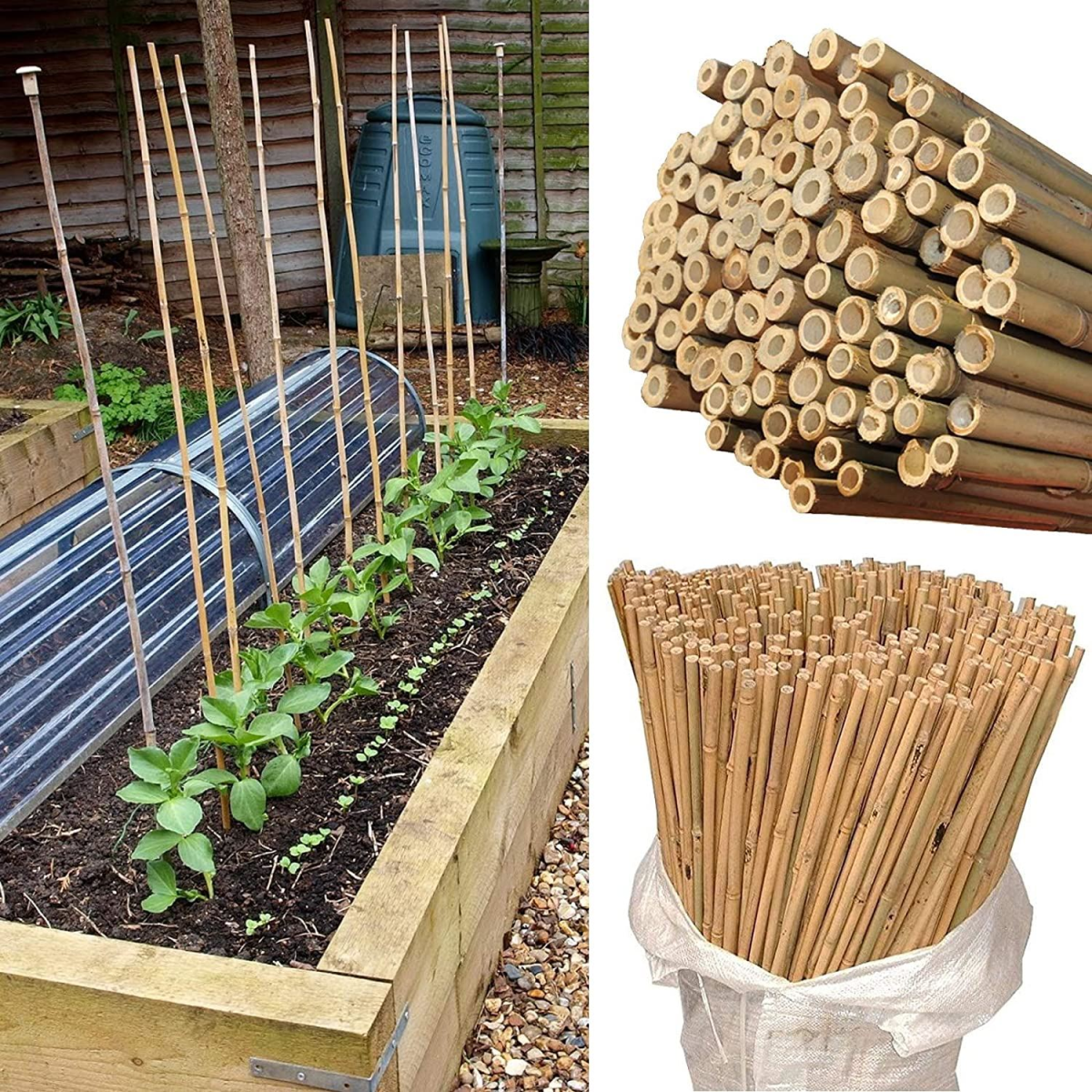 ONE PIECE 2ft (60cm) Bamboo cane