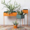 MI Indoor Plant Stand Set