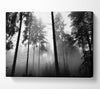 Mist Of The Woodland B n W Canvas Wall Art - Zestio