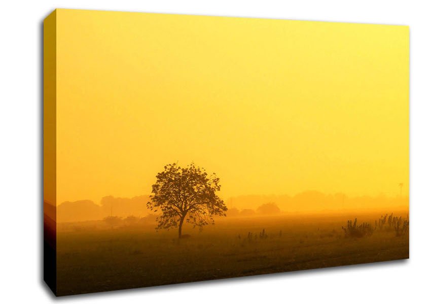 Misty Morning Canvas Wall Art - Zestio