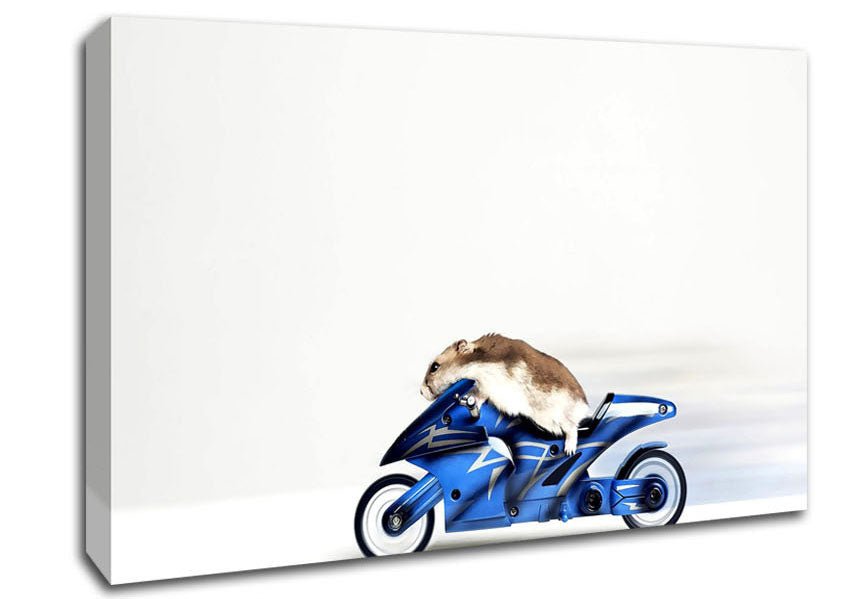 Mouse Riding Motorcycle Canvas Wall Art - Zestio
