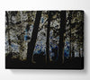Neon Forrest At Night Canvas Wall Art - Zestio