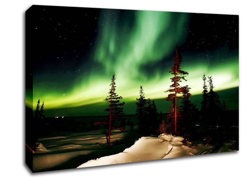Northern Lights Green Canvas Wall Art - Zestio