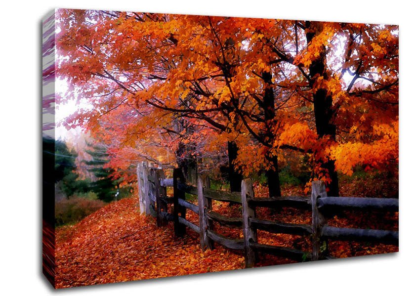 Orange Autumn Leaves Canvas Wall Art - Zestio