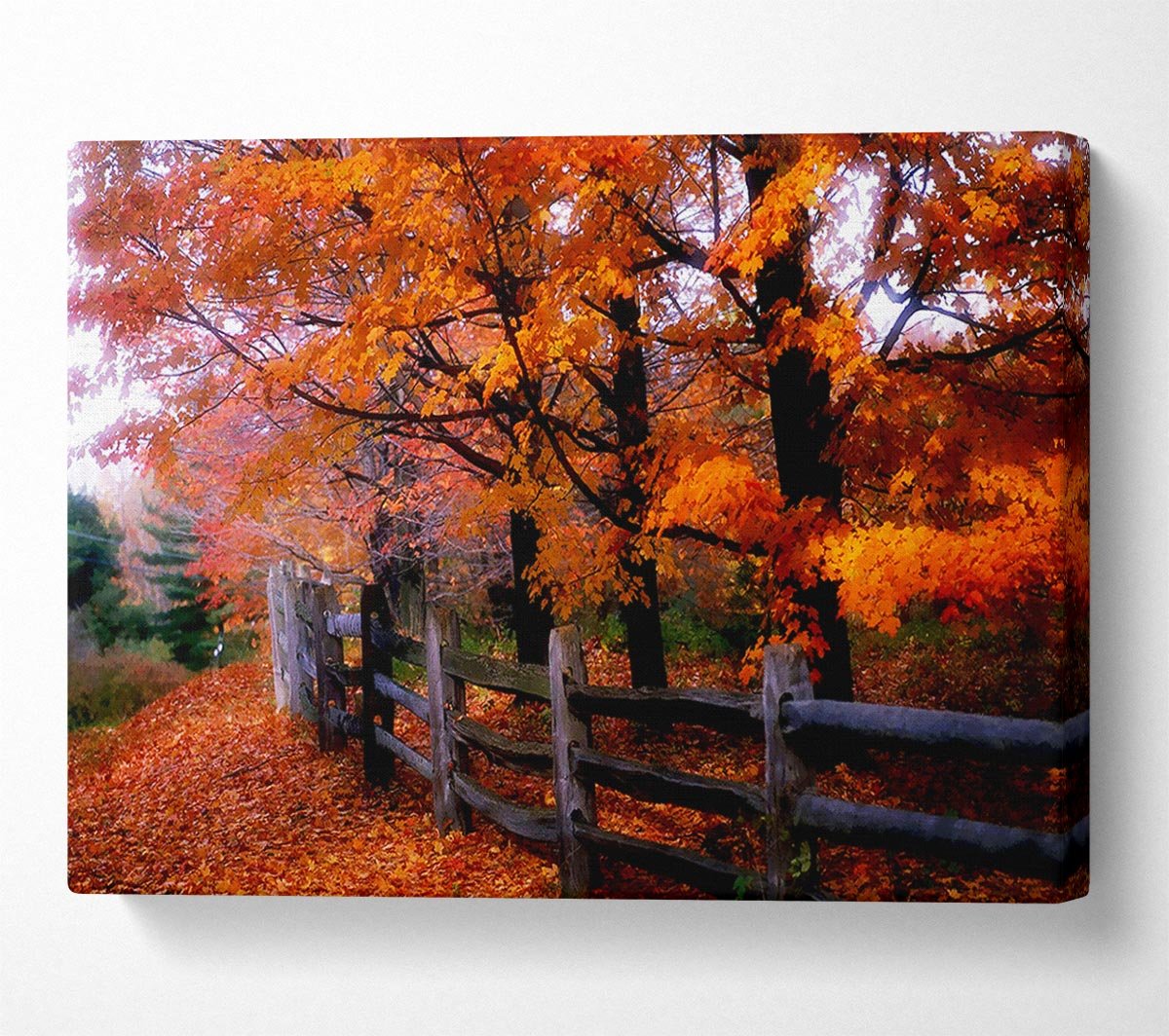 Orange Autumn Leaves Canvas Wall Art - Zestio